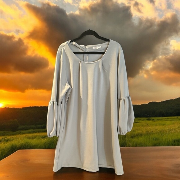 Standards and practices plus size 2X gray dress with pockets excellent - Picture 1 of 2